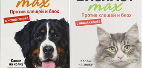 Prostředky Blohnet pro kočky a psy: recenze a návod k použití