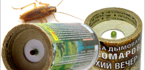 Insekticidní kouřové bomby zabít šváby v bytě