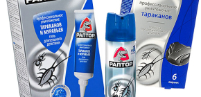 Léky na šváby Raptor: aerosol, past nebo gel. Co je lepší?