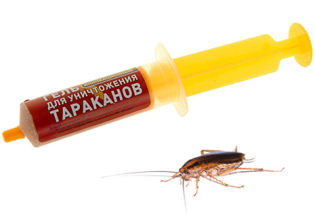 Léky na šváby v injekční stříkačce (gely): přehled léků a nuance jejich použití